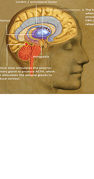 cs-art--social-awareness